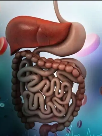 4th Annual Digestive Diseases Update Banner